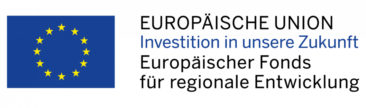 03_3_projektbeschreibung_eu_logo-1